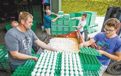 &ldquo;毒雞蛋&rdquo;大鬧歐洲?!別擔(dān)心,中國尚未從歐盟進口禽蛋產(chǎn)品!