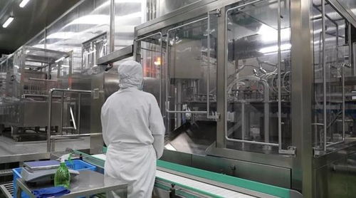 金山這里持續打響 灣區食谷 品牌