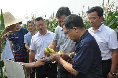 2021武漢種業博覽會&middot;鮮食玉米產業大會在省現代農業展示中心成功舉辦