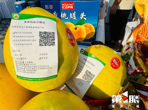 更好守護(hù) 舌尖上的安全 重慶市開展食用農(nóng)產(chǎn)品承諾達(dá)標(biāo)合格證宣傳活動(dòng)