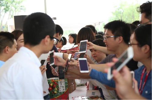 首屆 京東沾化冬棗電商節(jié) 啟幕 京東云助推農(nóng)產(chǎn)品搭上 互聯(lián)網(wǎng)快車