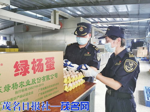 海關(guān)助力茂名鮮雞蛋首次出口，網(wǎng)上銷售初級農(nóng)產(chǎn)品邁新步