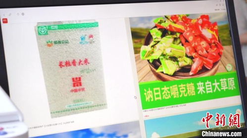 環游青年返鄉創業 電商興農開拓海內外家禽市場